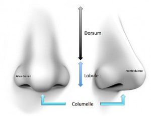 shéma rhinoplastie médicale