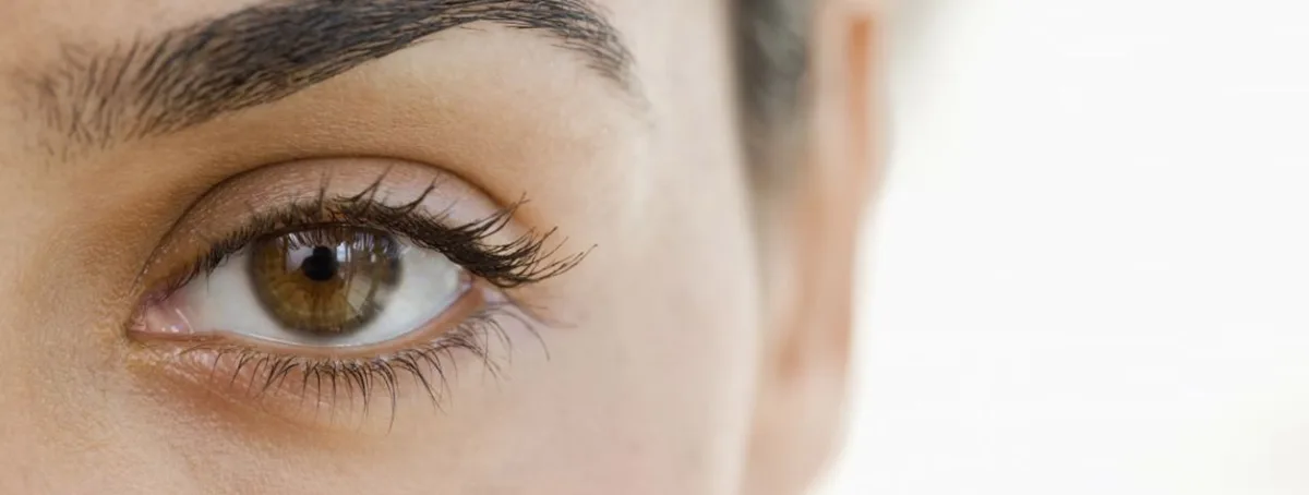 regard-cshp